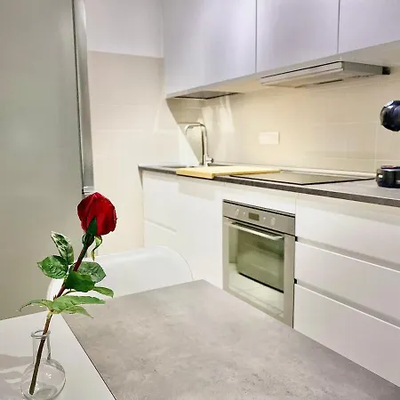 Apartment Triumph Tower Politecnico Milan